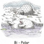 bi-polar1