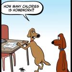 210730-DK-Homework-Cals