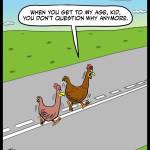 Old-Chicken-Road-Wisdom