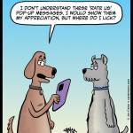 Dog-Rating-App