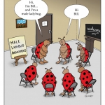 male-ladybugs-copy-1
