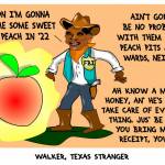 Walker-Texas-Stranger