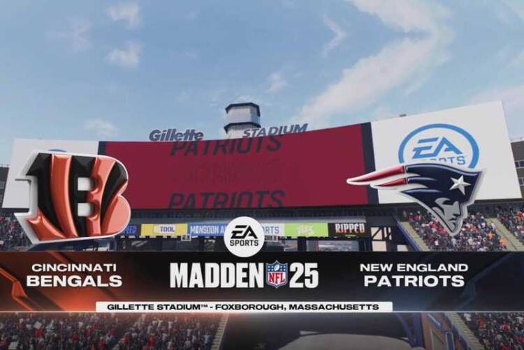 Madden NFL 25