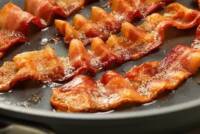 ‘Bacon in Every BLT!’ Campaign Promise Makes Pigs Nervous