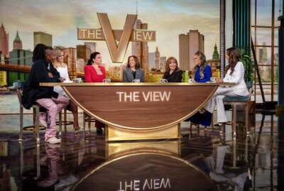 Diversity Hire The View