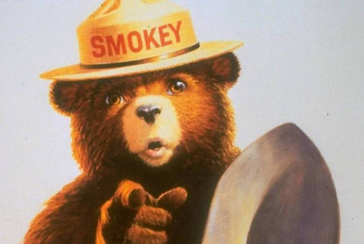 Smokey the Bear, U.S Forest Service